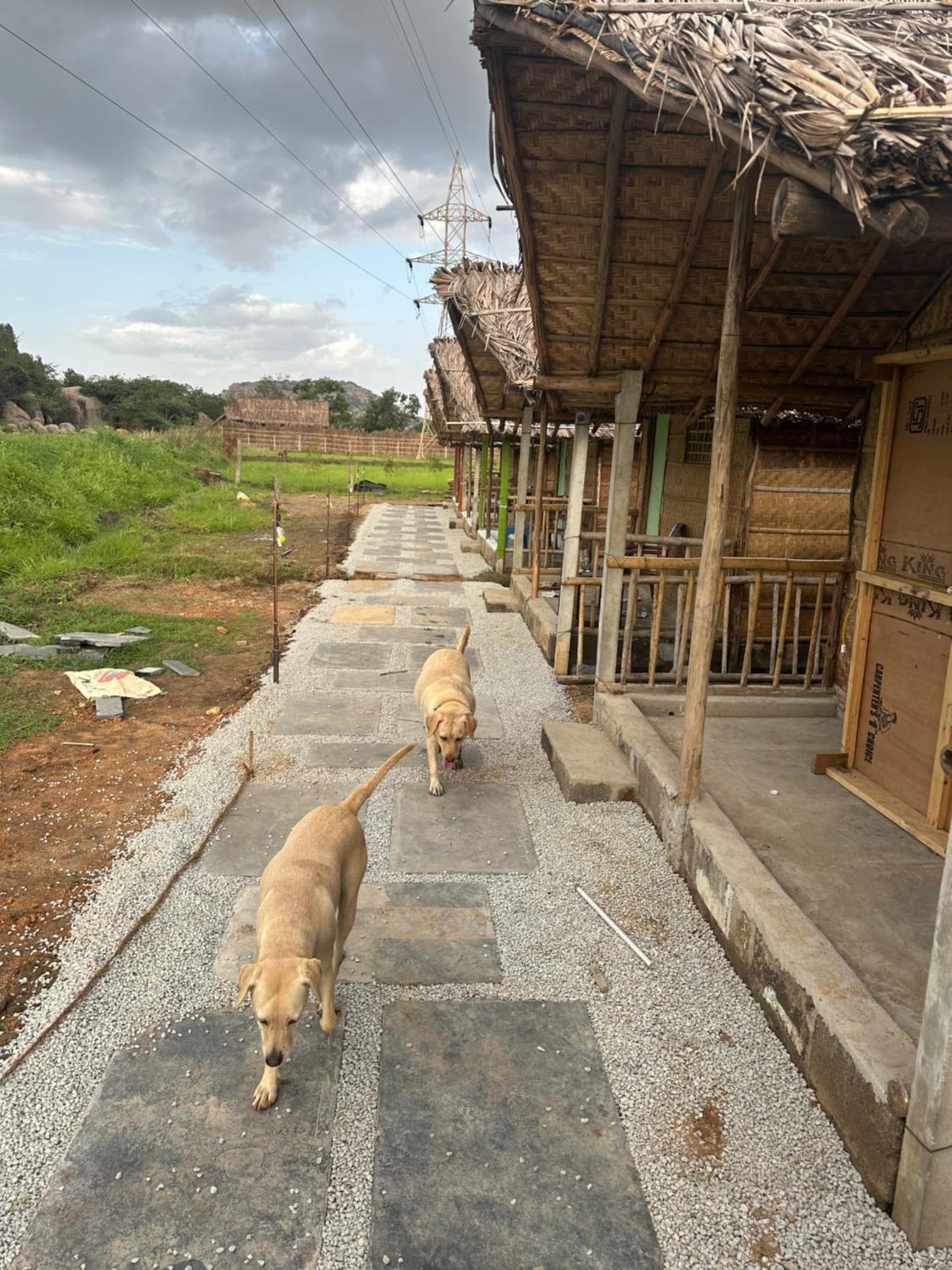 The Gravity Cafe -A Unit Of Staychillhampi Exterior photo